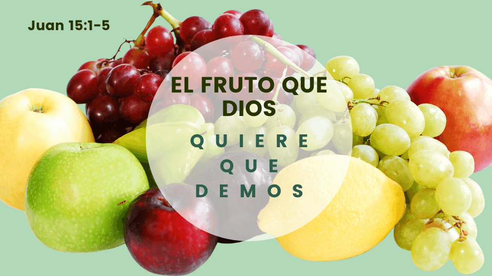 Fruto